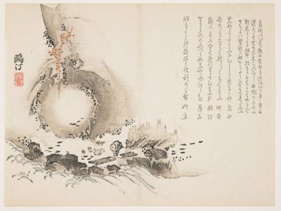 Rápido del Río, c.1861-63 de Unbekannt Unbekannt